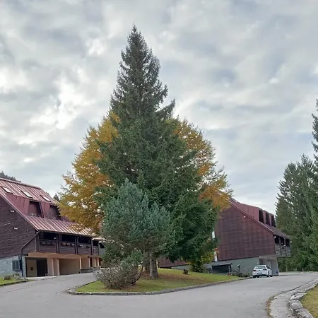 شقة Casa Della Marmotta Great Location And Parking تارفيسيو